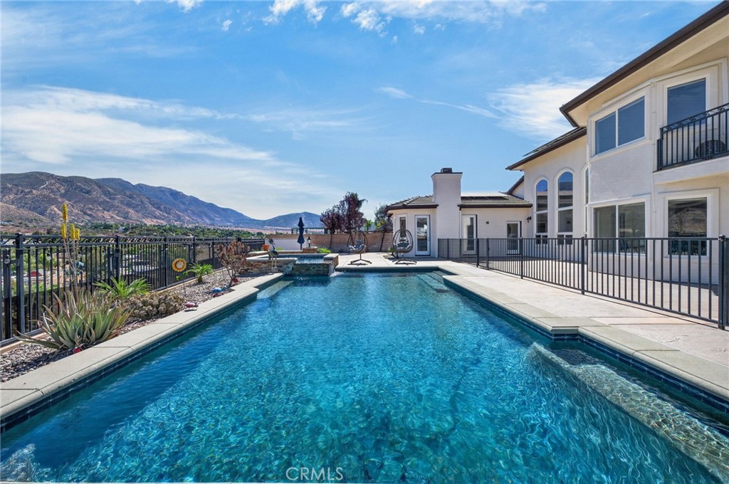 34830 Olive Tree