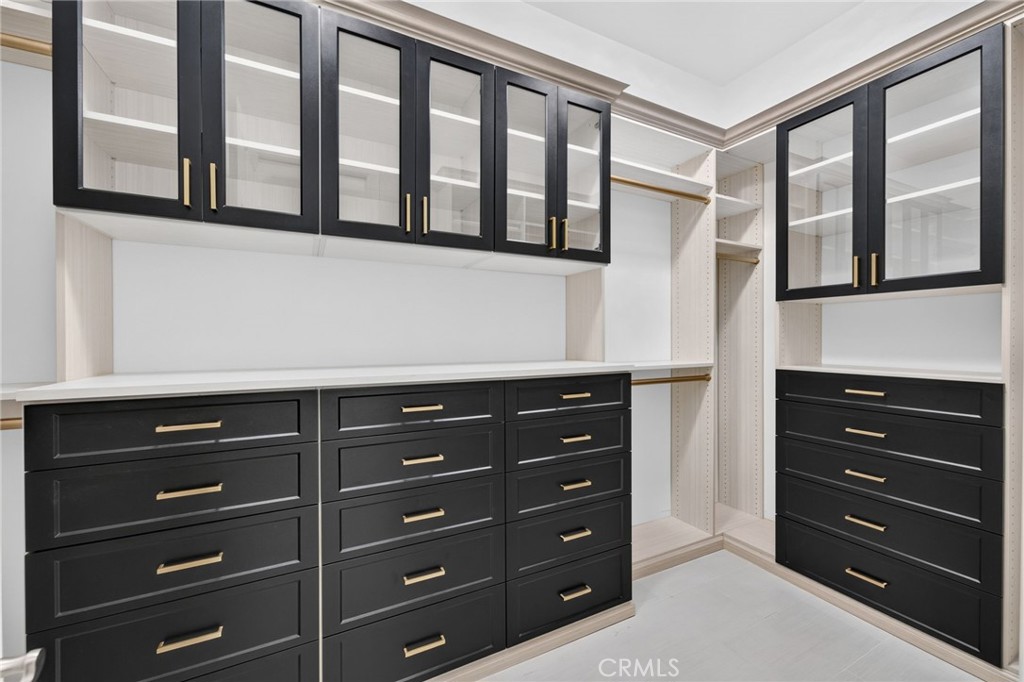 34830 Olive Tree