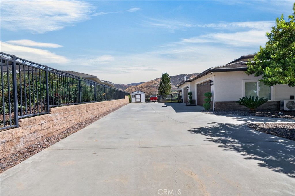 34830 Olive Tree