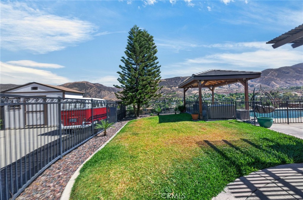 34830 Olive Tree