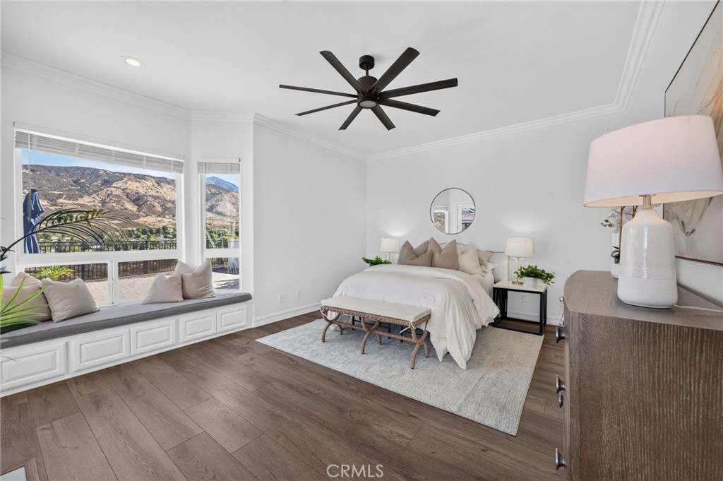 34830 Olive Tree