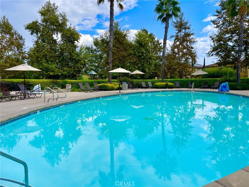 36 Tanglewood