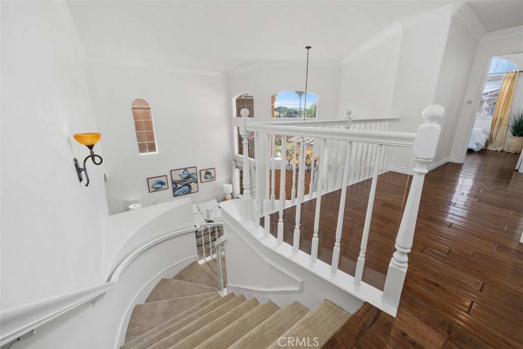 36 Tanglewood