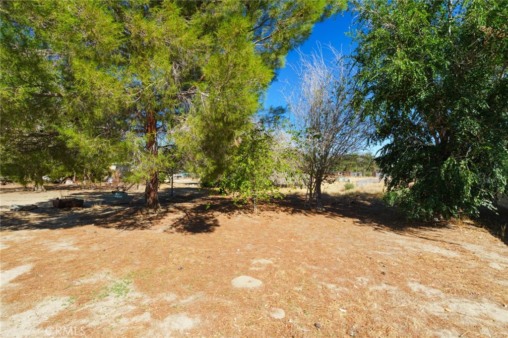 10821 E Avenue R14