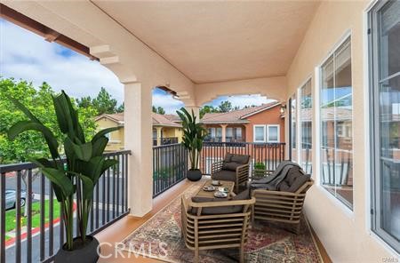 32 Carnation