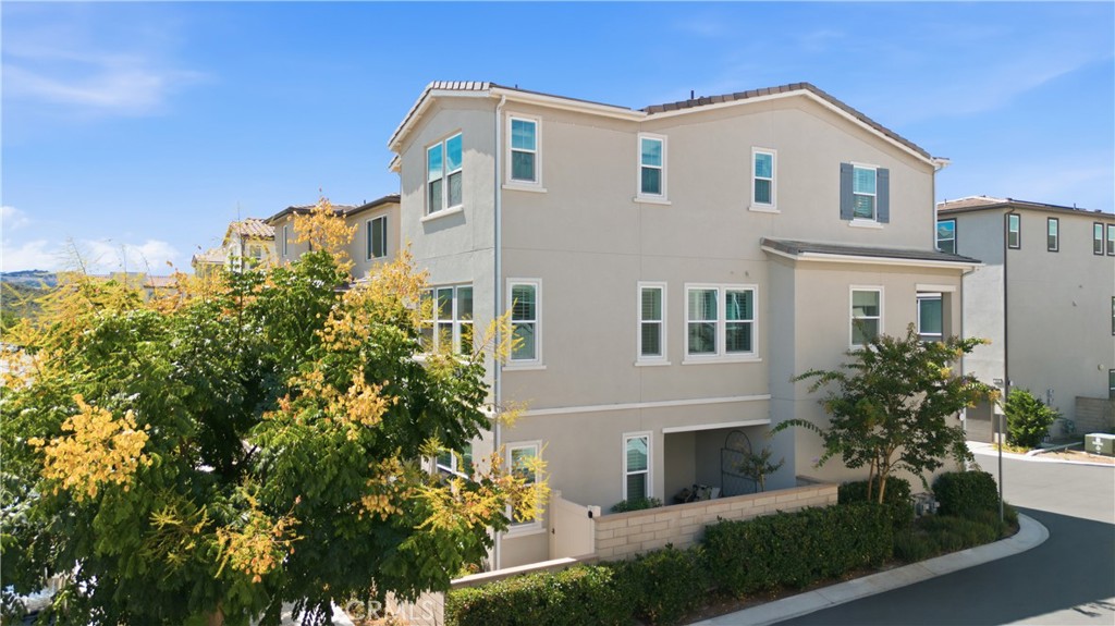 502 Old Vine
