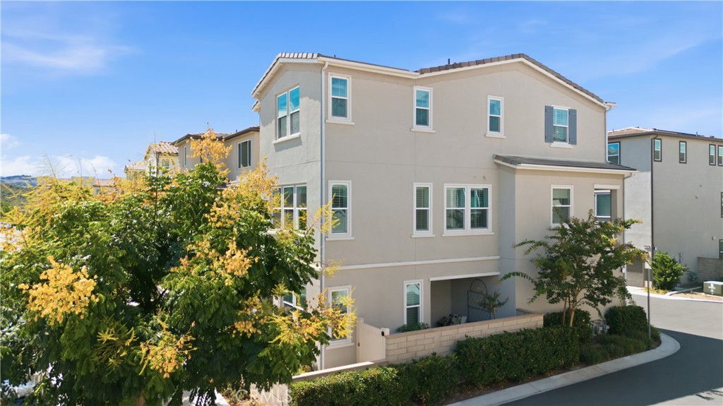 502 Old Vine