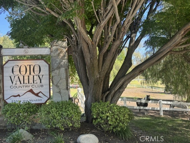 5 Ironwood