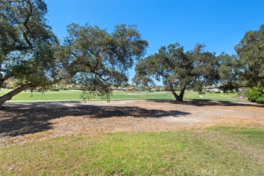 5 Ironwood