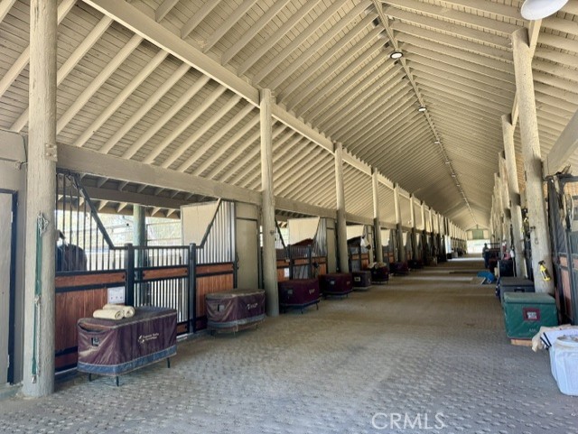 5 Ironwood