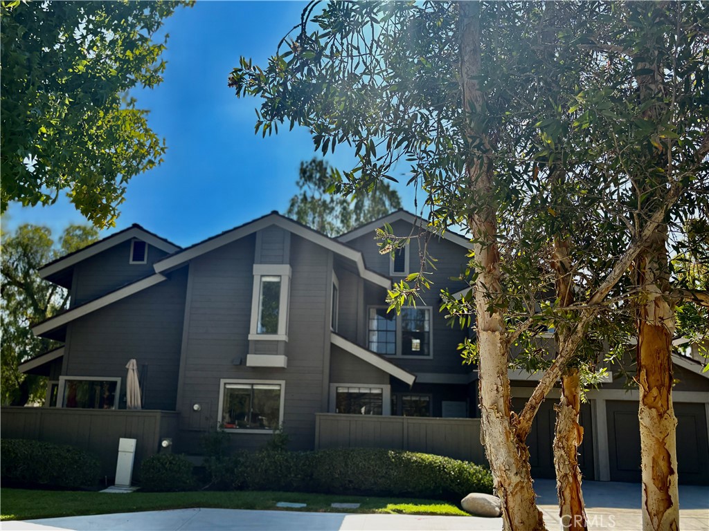 9 Pinewood