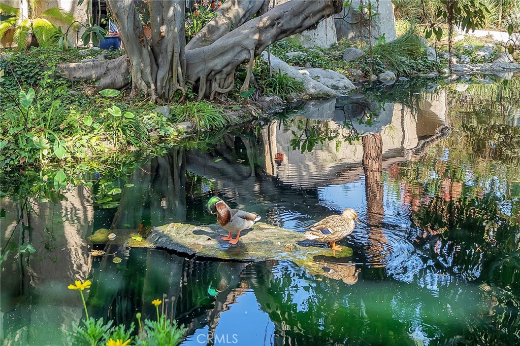 7890 E Spring Street 25D