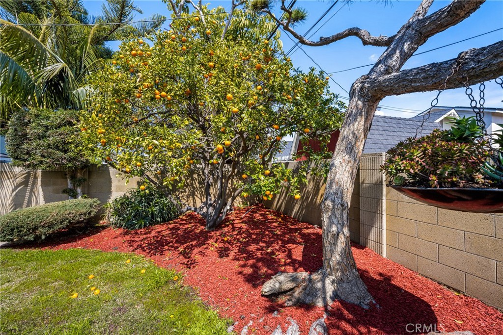 16772 Robert Lane