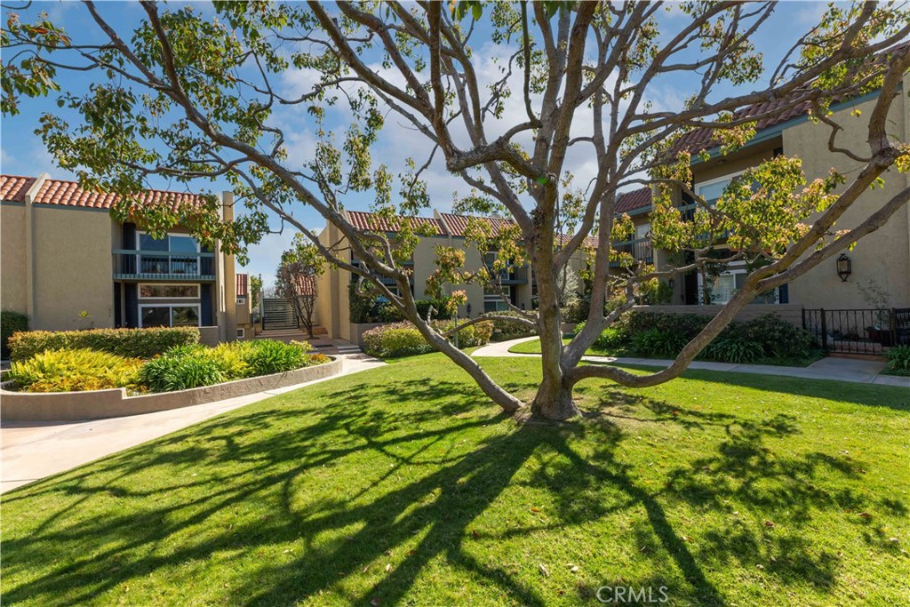1042 Palo Verde Avenue