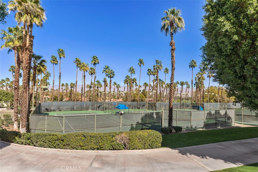 38807 Wisteria Drive