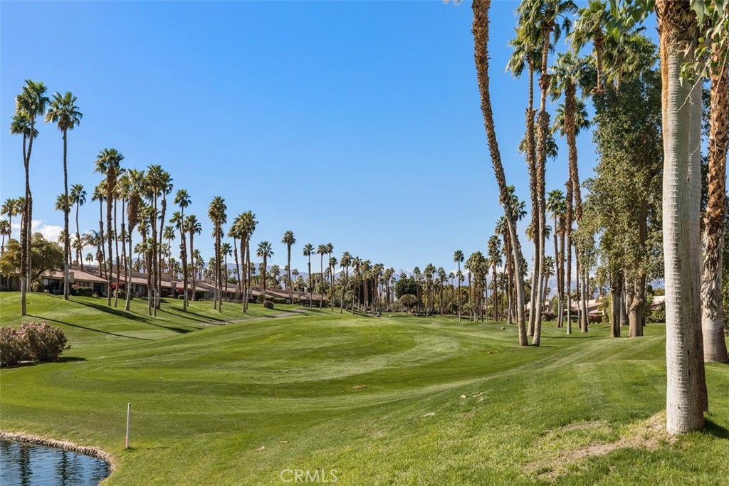 38807 Wisteria Drive