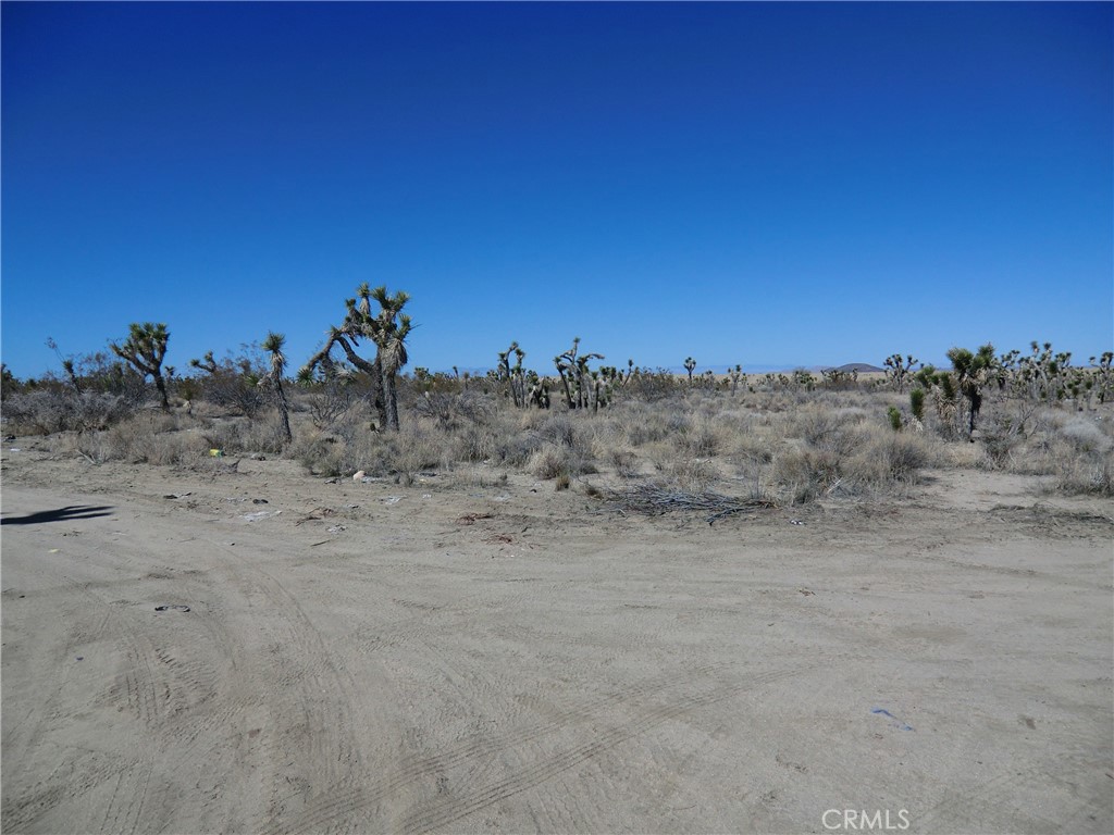 0 Avenue X14 + Aqduct