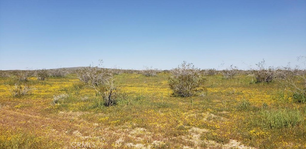 0 Stanford Ave + Plane St