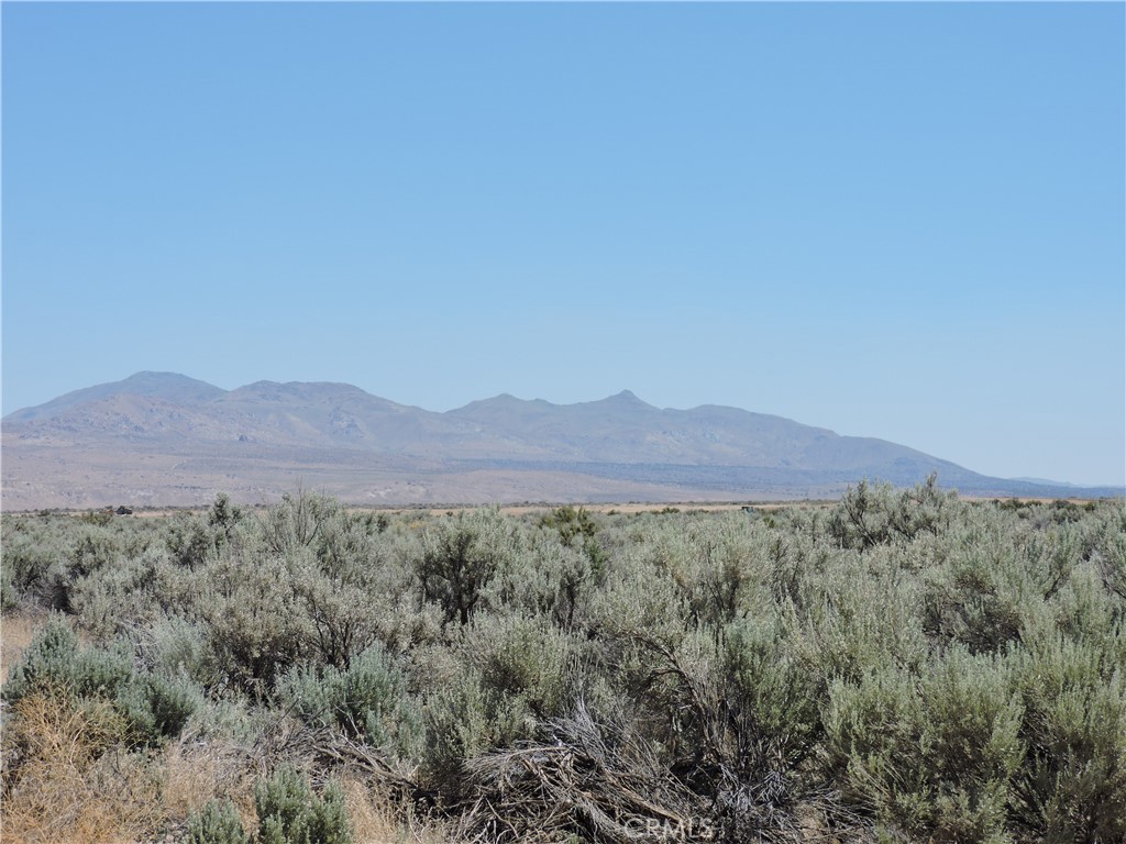 102 Manzanita Street