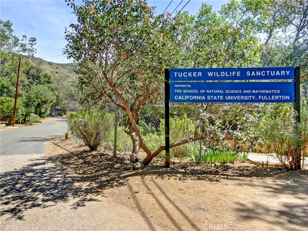 17722 Santiago Canyon Road