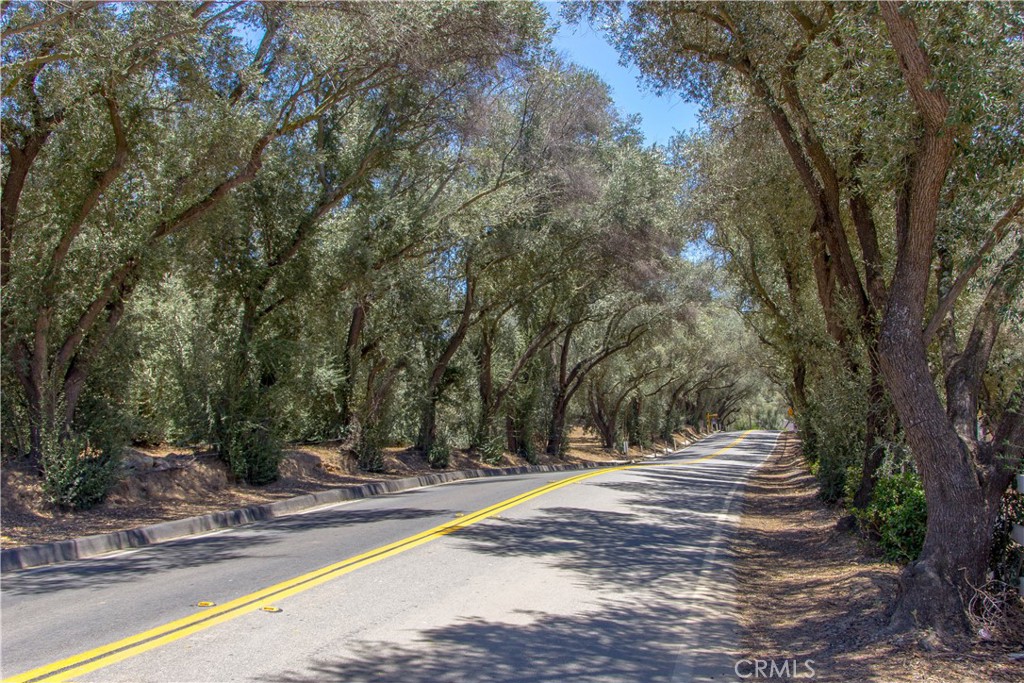 17722 Santiago Canyon Road