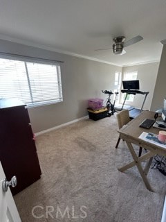 5 Sydney Court