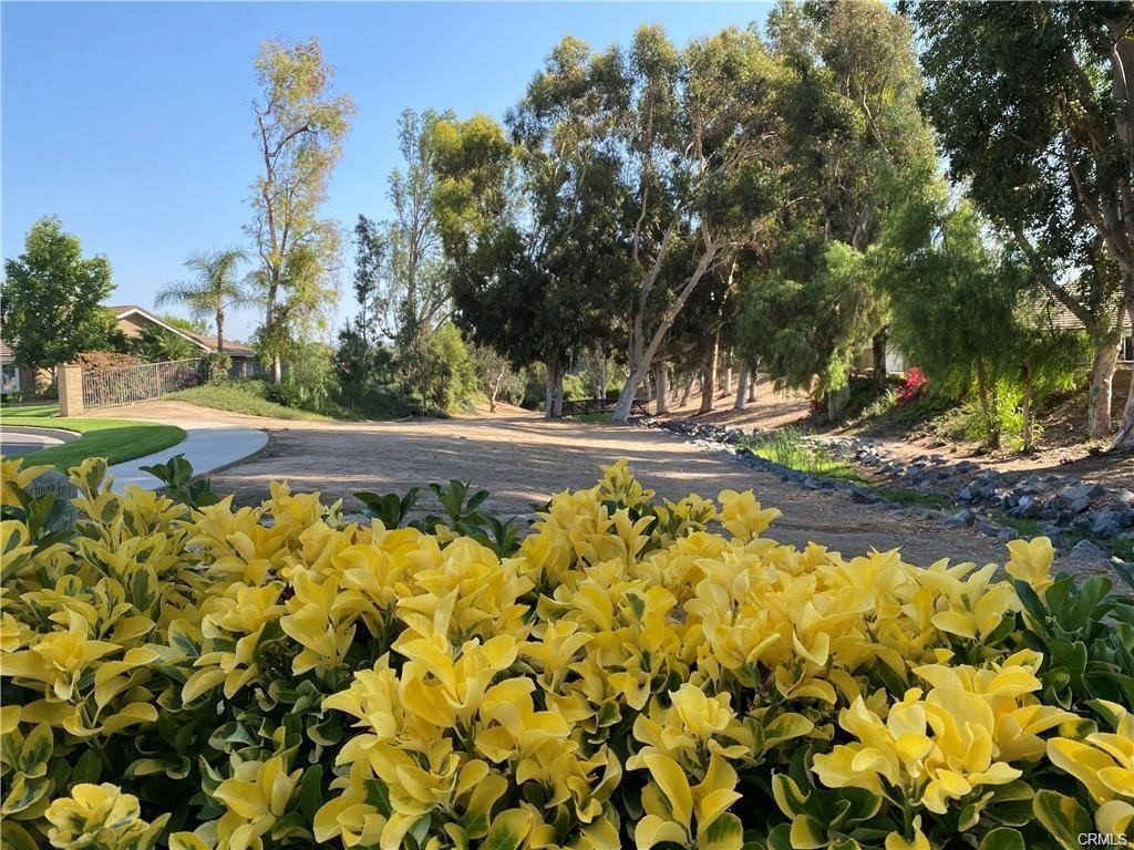 6021 E Shenandoah Avenue