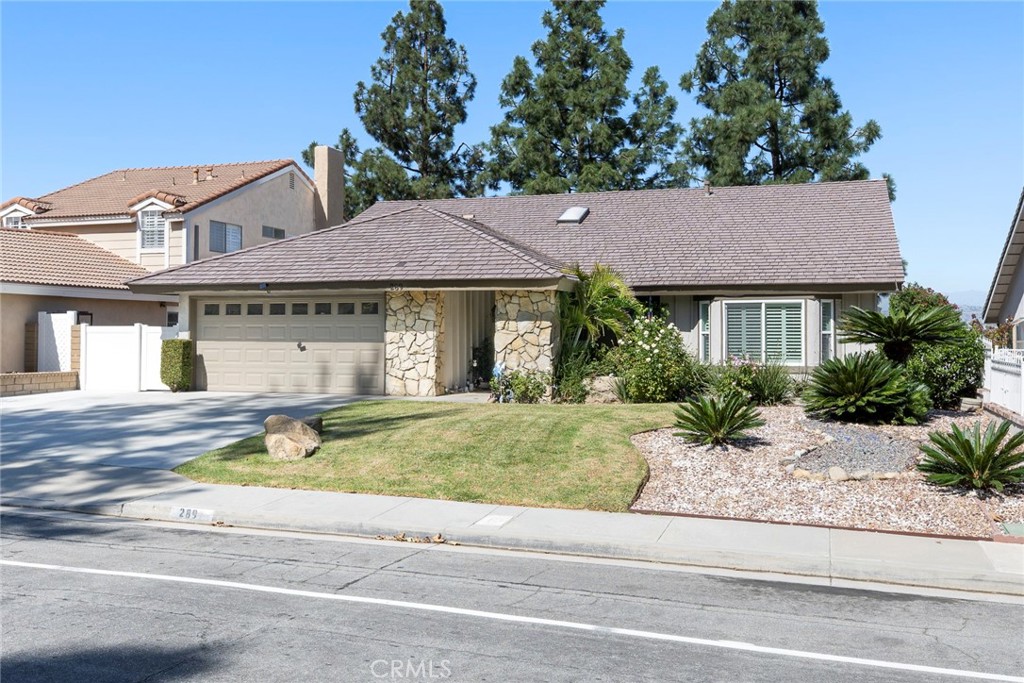 289 S Avenida Margarita