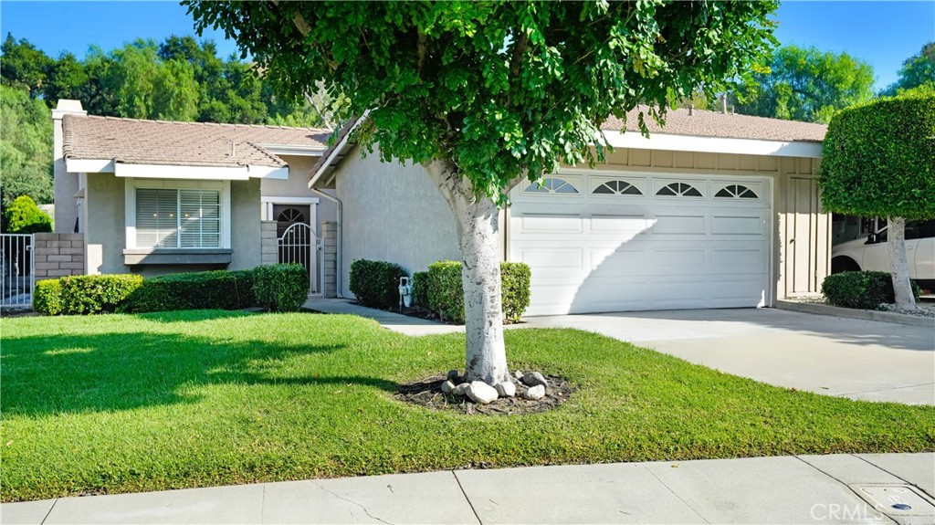 915 Shady Lane