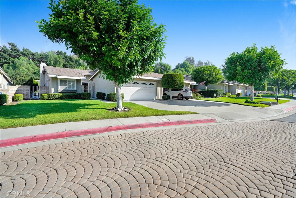 915 Shady Lane