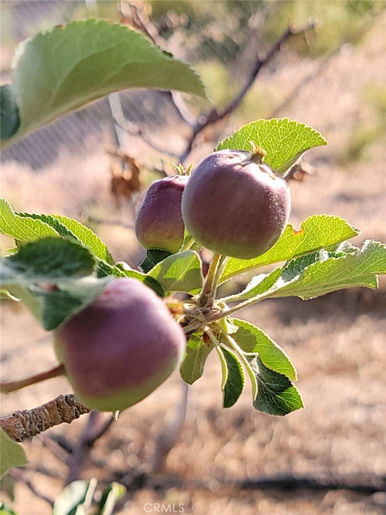 23170 Via Seco Street