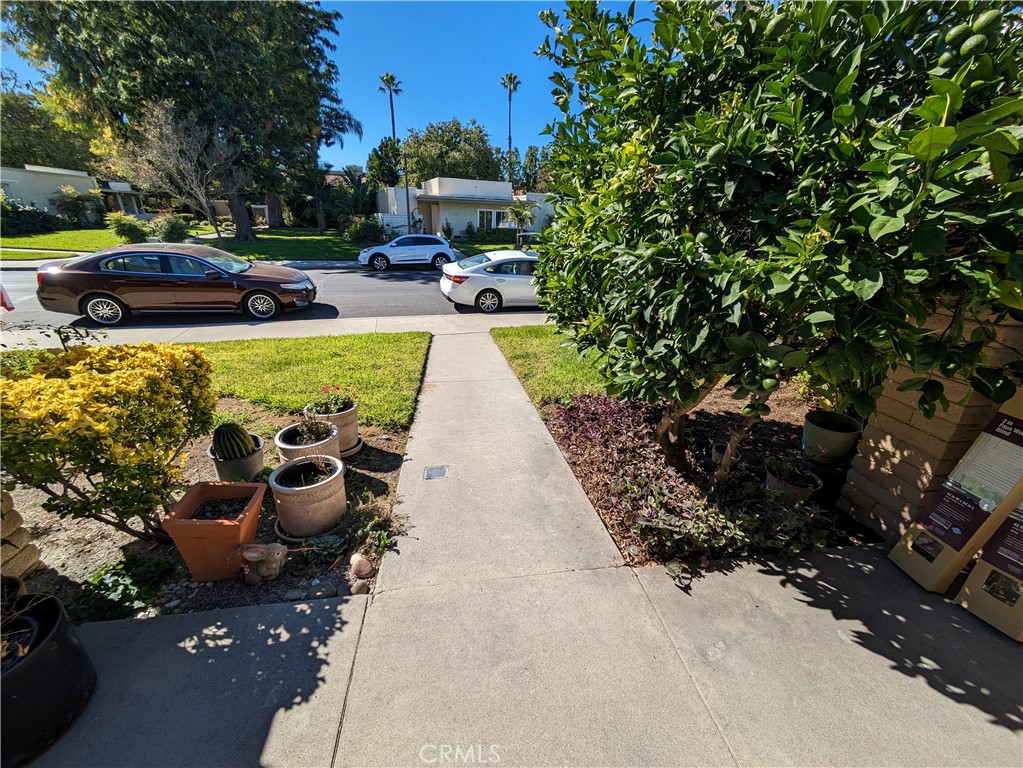 952 Avenida Carmel Q