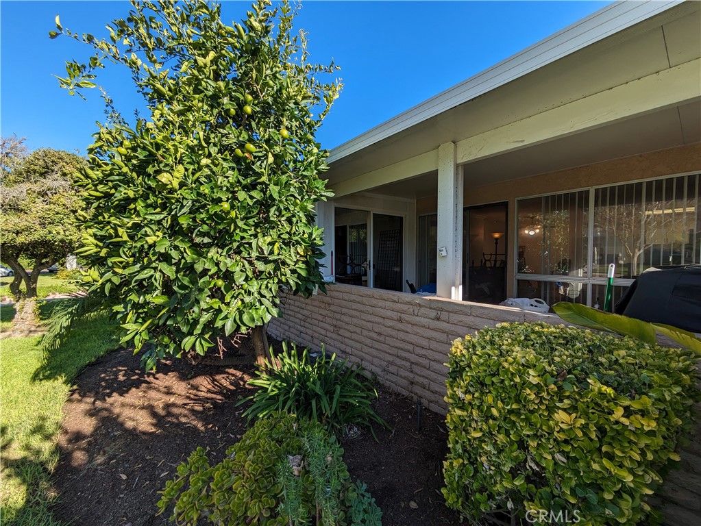 952 Avenida Carmel Q