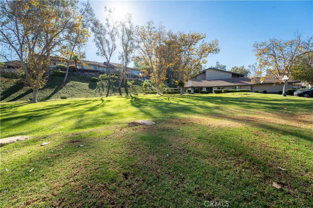 6543 E Paseo El Greco