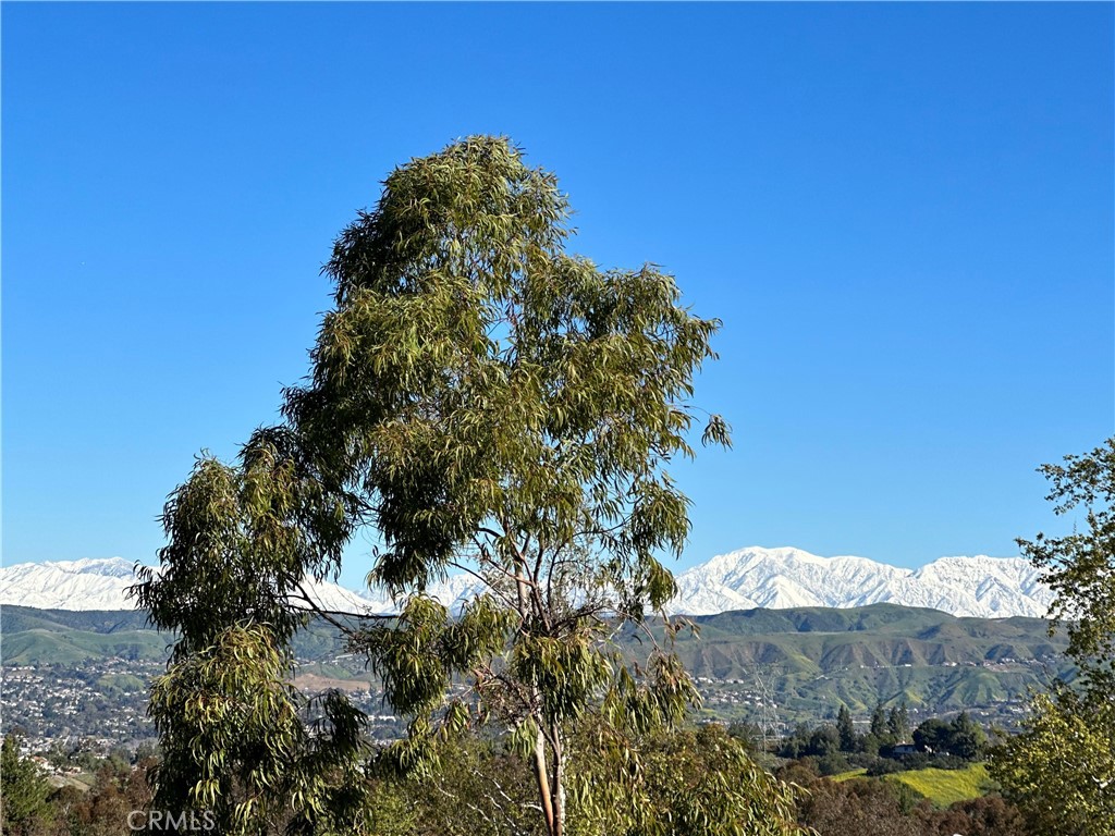 6543 E Paseo El Greco