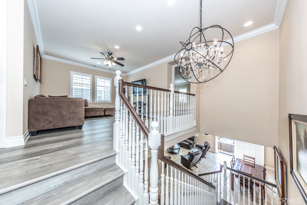 3 Silver Spruce Court