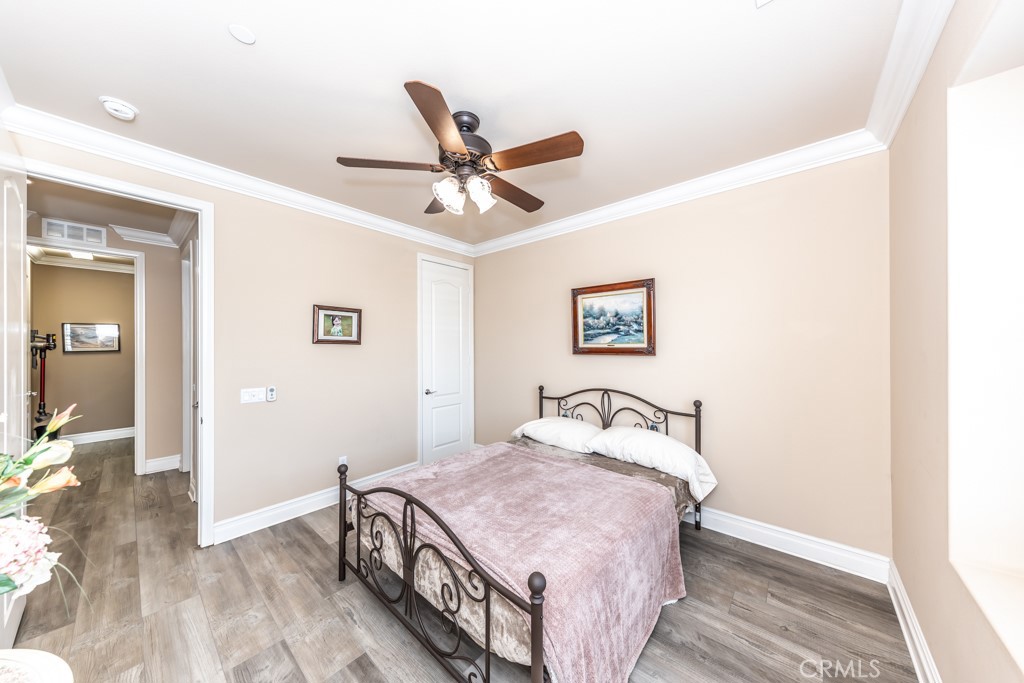 3 Silver Spruce Court