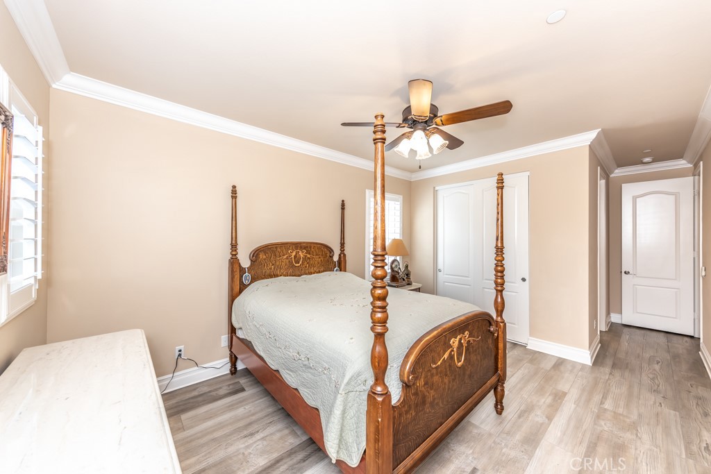 3 Silver Spruce Court