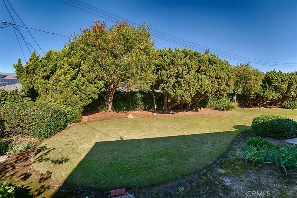 1525 E San Alano Avenue