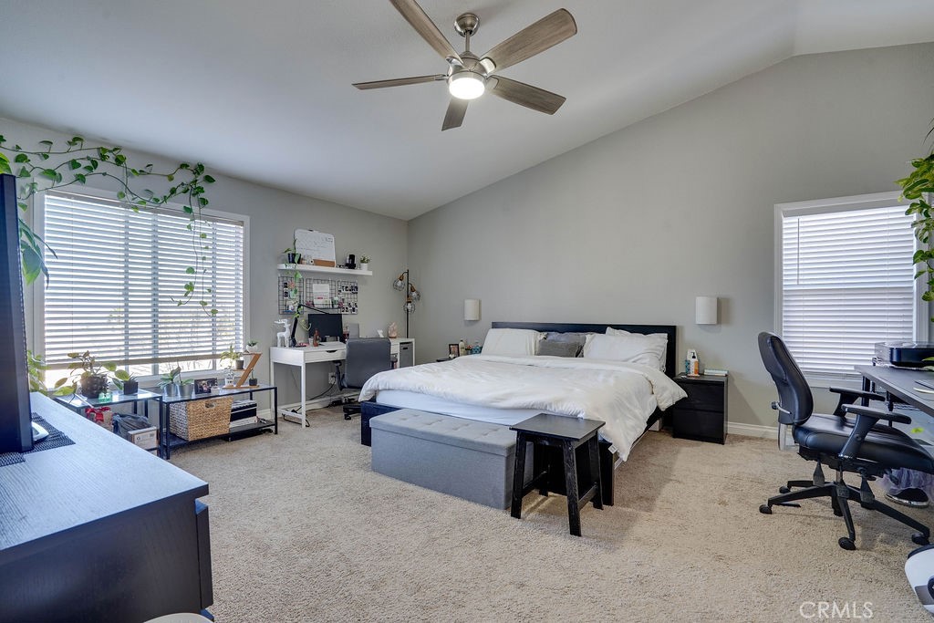 125 Smokethorn Street