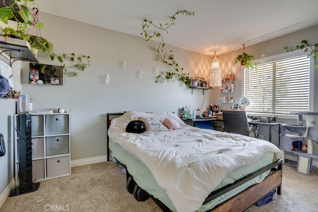 125 Smokethorn Street