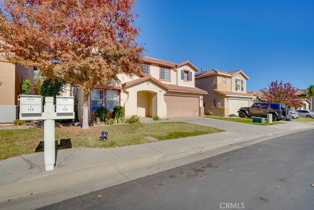 125 Smokethorn Street