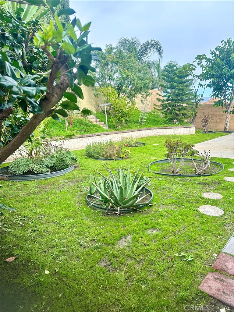 7451 E Calle Granada