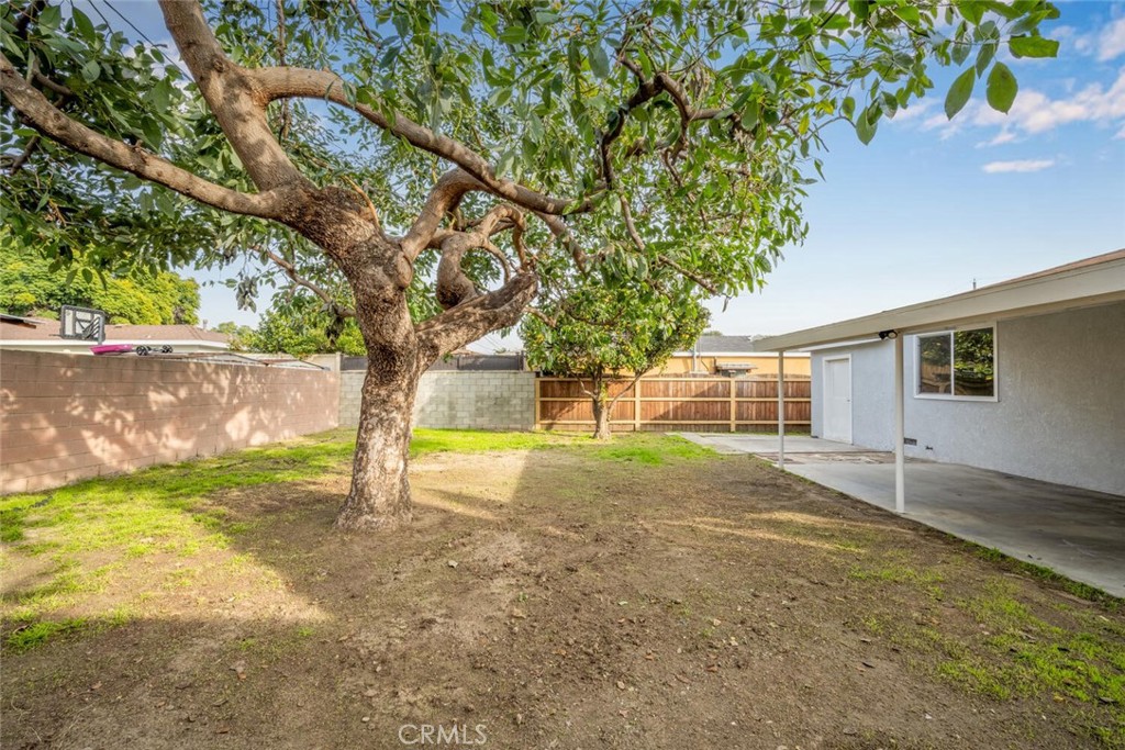 11419 Belcher Street