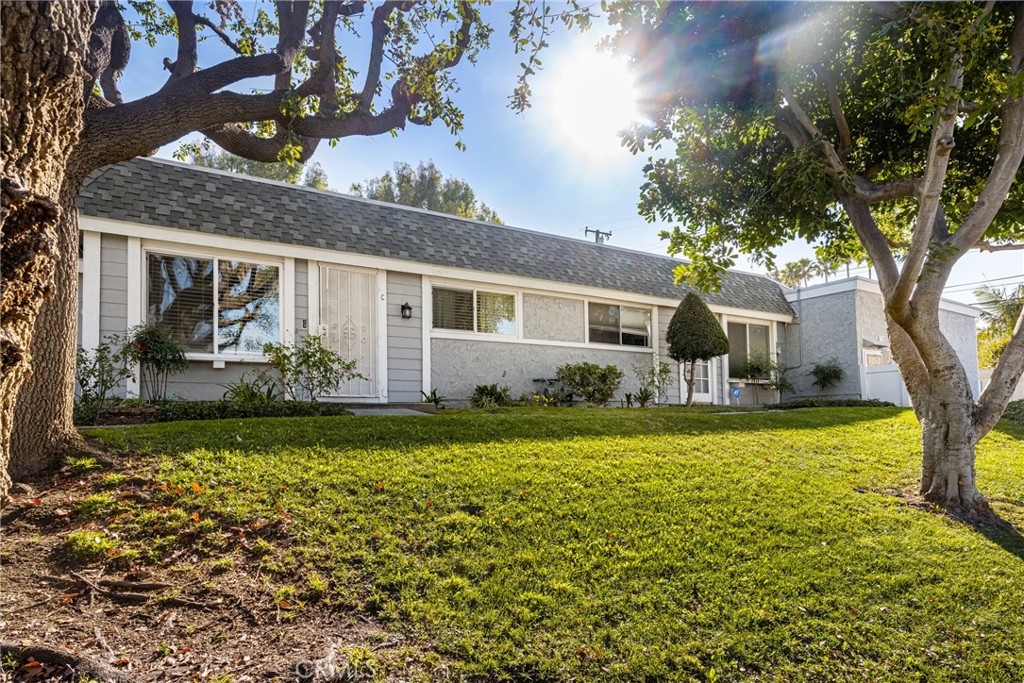 123 N Kodiak Street C