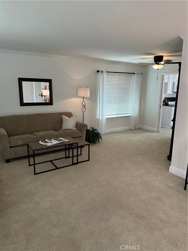 6001 Brookmont Drive