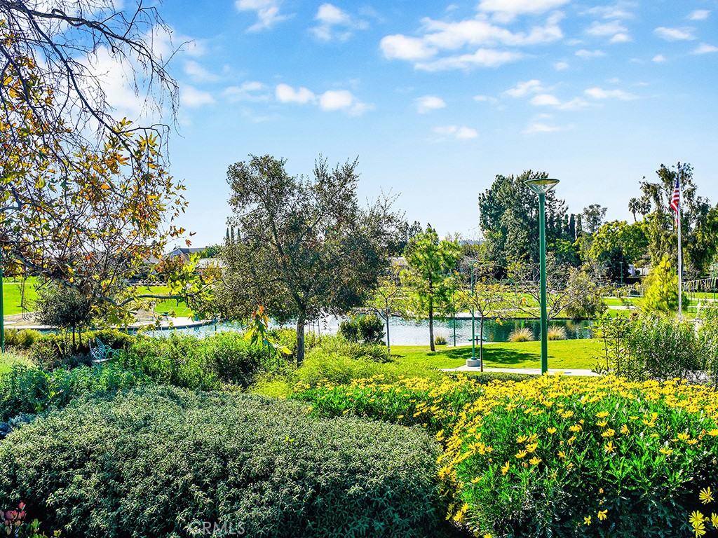 24272 Sunnybrook Circle