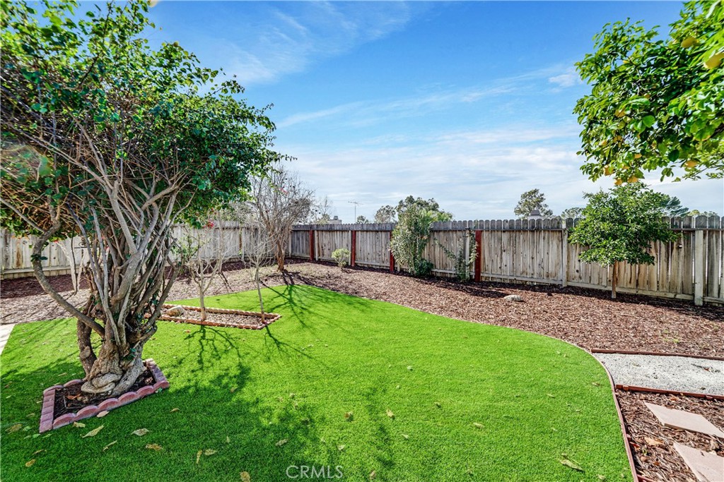 1171 Blue Ridge Lane