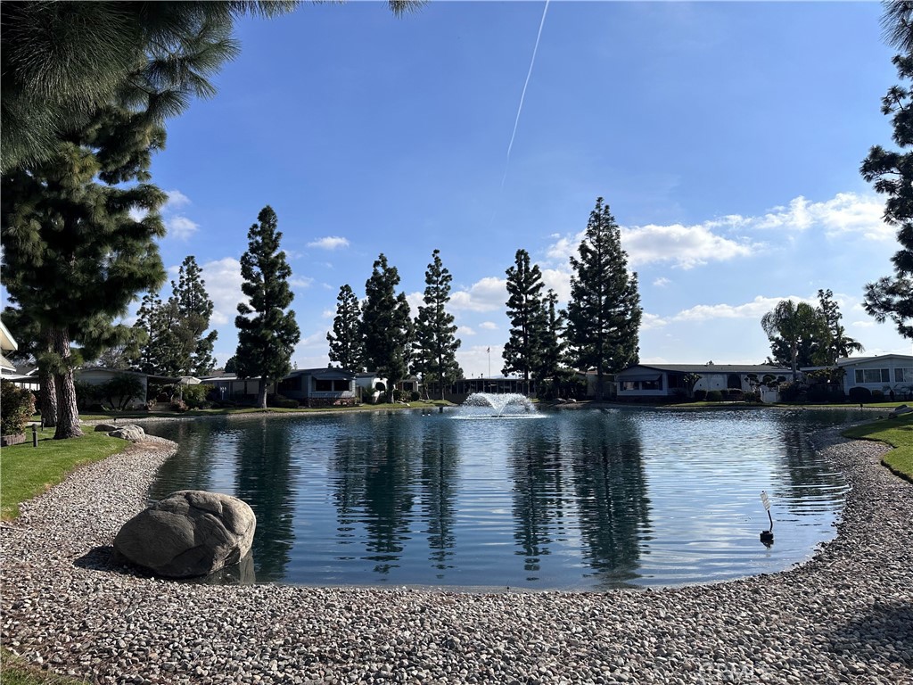 2300 Lake Forest Lane 113