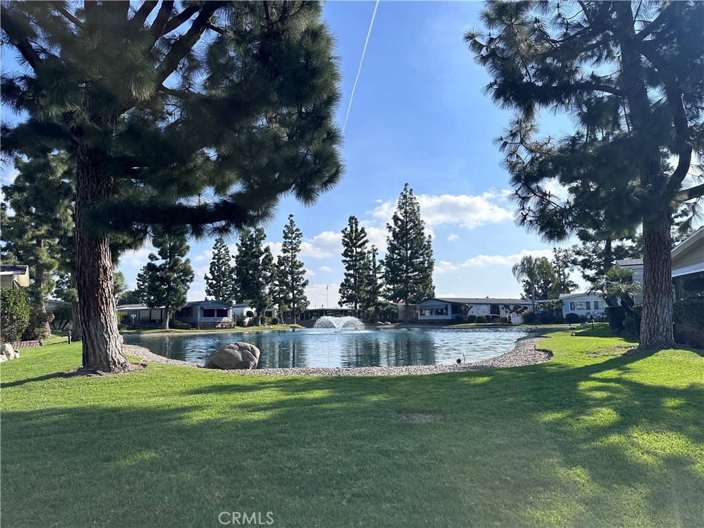 2300 Lake Forest Lane 113